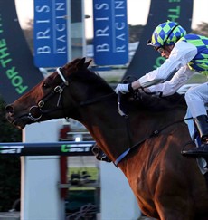 The last race is over a mile with some promising types engaged. Silento (pictured above) put in a nice run second up at Doomben in his penultimate start and won on that occasion
 
Photos: Graham Potter