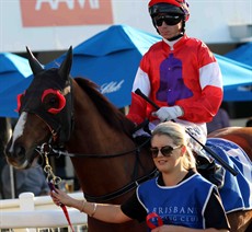 The Kelly Schweida trainer Oink takes on the big guns in the Golden Rose (race 6)

Photos: Graham Potter