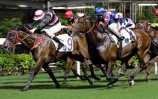 Ho Ho Feel (no. 9) under Derek Leung takes the Community Chest Cup by a nose from the fast-finishing Happy Contender

Photo:
Courtesy Hong Kong Jockey Club