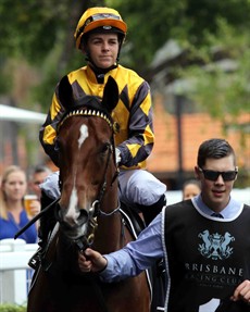 ... where it will clash with Barry Lockwood's Hidden Pearl who will once again be ridden by Bridget Grylls

Photos: Graham Potter