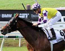 It seems like a broken record – but here we are again – a Queensland Winter Racing horse successful in Brisbane over the Carnival. Sacred Elixir was just super first up from a spell destroying a quality field at Caulfield two weeks ago. We all know that Tony Pike has a huge opinion of this gelding. I hope that he gets luck in running and we see the best of him again. (see race 8)