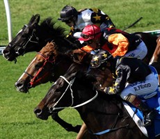 Londohero (closest to camera) ...
scored well the other week at Eagle Farm – the race was set up nicely for him with some fast early sectionals allowing him to power home over the top of them late. I'm on him again in race 6
