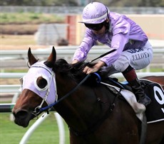 Looks like race book order for the first race this week. Balboa Rocks (1) is two wins from two starts here at Eagle Farm. Despite the rise in weight I think he should get the job done again this week. 

Jeff LLoyd, who is the pick to win the Jockey's Challenge, again takes the ride