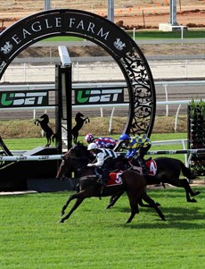 Eagle Farm ... will it become the new home of the 10 000?