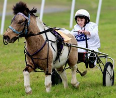 Mini trots

Photos: Darren Winningham