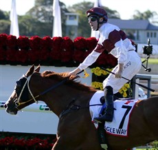 The 2016 Queensland Derby winner – Eagle Way has been transferred from the Gold Coast stables of Bryan and Daniel Guy to John Moore. Moore has a knack of producing a special one on this day.