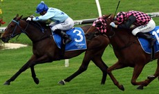 Day two of the Michael Rodd double header with Rodd successful in both legs of the Origin Jockey Series aboard Arki (pictured above)  and In His Stride (pictured below) 