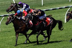 ... and the two runners then continued that stride for stride struggle with both jockeys riding their mounts out to the line