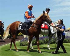 Champ Elect