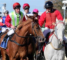 A familiar sight as Jim Byrne brings back another winner

Photos: Graham Potter