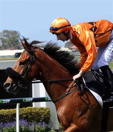 My best bet ... Expat Envy (see race 4)

Photos: Graham Potter