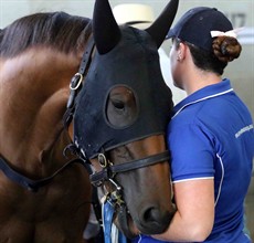 Magic Millions Two Year Old Classic favourite Houtzen so relaxed per-race last Saturday before claiming another spectacular win (see below)