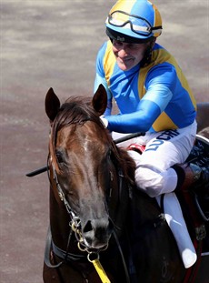 Winning Rupert ... five from five and hard to oppose in the Magic Millions Three Year Old Guineas

Photos: Graham Potter