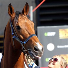 Buffering ... it was a privilege to call him home on the 2016 Magic Millions day