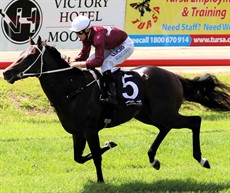 Lifesaver winning at Murwillubah

(See race 4)

Photos: Graham Potter and Darren Winningham