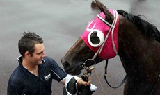 Our Story has always been a mare that has shown a fair bit of ability and promise so it was good to see her win at Eagle Farm (see below)