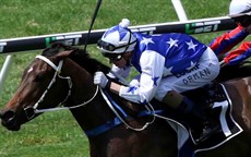 The other thing that has been memorable is in 2016 I picked out my first lot of yearlings for myself and dad. The first one that was able to make it to the track “I Am Venus” won at her first start, ridden by Jimmy Orman (pictured above and below). Winning that one was a great thrill for the connections and the stable