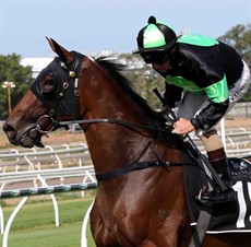 I don’t know what happened last start with Candika (15) – she just seemed to get way too far back before making a barnstorming run to fly home late and be narrowly beaten. Maybe the extra 100 metres will help. (see race 5)

Photos: Graham Potter