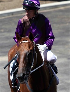 Quatronic from the Matthew Dunn yards was super impressive first up at Eagle Farm. $2.10 looks a good price here and with Jeff Lloyd on board again he looks a stand out. (see race 2)