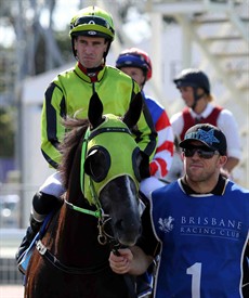  I think you should overlook the run of Time to Torque at Eagle Farm last start and go on his win here a month ago. He looks a good each way chance at $8. (see race 8)