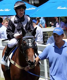 Golden Slipper contender Houtzen will be the centre of attention (see race 3)