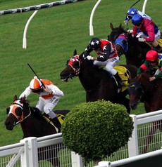 The Eagle Farm situation reached a highpoint (lowpoint?) when there was a fight to get to the outside rail at Monday’s meet

Photos: Graham Potter