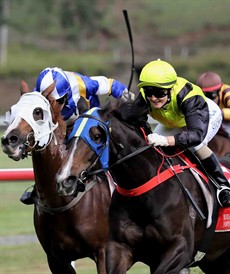 Hidden Sequel won here last start over the 800m as well but again has drawn terribly in barrier 16. Brooke Stower partners the filly again here this week but I think that she may be well suited as the run was great last start settling off the speed and burying the opposition in the straight. (see race 4)

Racing photos: Darren Winningham