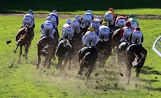 The kick-back at Eagle Farm ...