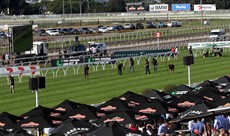 ... as were the track workers in-between races