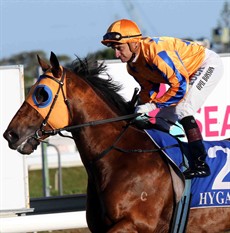 I was taken by the topweight and kiwi runner Heroic Valour (pictured above) in the Gold Coast Guineas. Opie Bosson rode the colt so well but was just run down at the post. I think back in grade we should see a continuation of that form and a win here in race 1