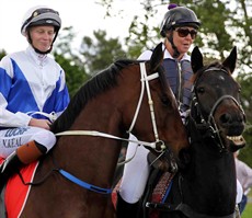Out of the same race that Doumbek (4) won at Kilcoy Make No Mistake (5) finished second. Whilst she was beaten by 5 lengths on that occasion it was her first race start and she did look lost on the track. She then came out and dominated a good field at Toowoomba her next start (see race 5)