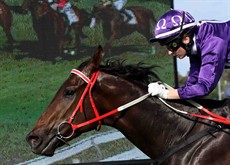 Sir Donald (see race 1)