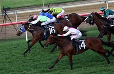 In His Stride ... on the outside, a flying second placing behind Monsieur Gustave in the Eye Liner ... my selection for the Glasshouse 

Photos: Graham Potter