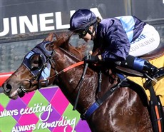 Nardoo (see race 6)