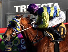 Termele (see race 6)
