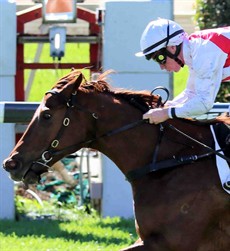 Khalama (see race 4)

Racing photos: Darren Winningham