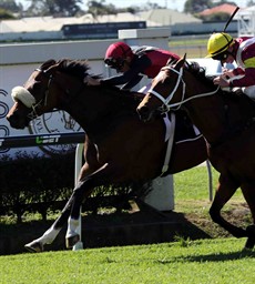 Two weeks ago the Michael Costa trained Stanley franked a great win at Grafton with another win at Doomben with no weight on his back. He could well win again (see race 2)
