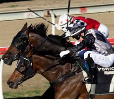 Looks like an early win for the Toby Edmonds stable with his runner Chloe’s Comet. She won her last start at Ipswich (pictured closest to camera) and I think she has some ability and will go on to win here (see race 3)