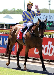 A number of jockeys from all around Australia made their way to Darwin for the 2017 Darwin Cup meeting. Some of the big names - Blake Shinn(pictured above) and William Pike (below) to name a few.