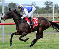 I was here when Our Jamaica won first up over this distance back in April. Since then she has had a string of placings and I really think she deserves a change in luck and should be in the winner’s stall this weekend (see race 4)

Photos: Darren Winningham