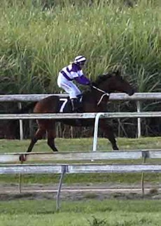 It all started about fifty metres out of the barriers. I felt my right rein go and I thought, ok, I’ve broken a rein here. Then, probably a stride later I watched the bridle come straight back over the horse’s head and down its neck.