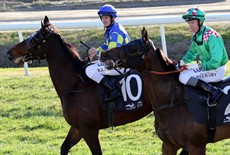 Robert Agnew and Ronnie Stewart stroll down the home straight at the conclusion of the Murwillumbah Cup. They had pulled their horses out of the Cup contest because they heard the 'false start' siren sound shortly after the horses had left the starting stalls