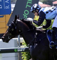 Tony Gollan has a few runners with all good chances in the first. I think the best of them is Ignite The Light (7). (see race 1)