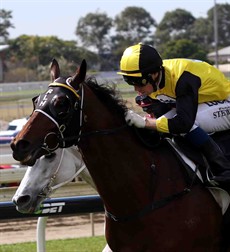 I have been on the Rob Heathcote trained Ingeegoodbe (5) in his last two starts. I see no reason to hop off this weekend. (see race 3)