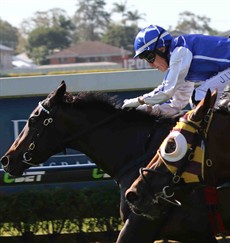 Toby Edmonds and Jeff Lloyd combine again with Plucky Girl (11). She won well on EKKA day – stepping up to city weekend class this weekend. I think she can make the transition. (see race 4)
