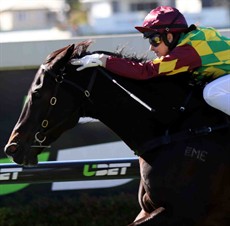 Sheiswhatsheis (4) gets a new rider this weekend with Jag Guthmann-Chester taking over from the injured Lani Fancourt who had a fall last Friday at Murwillumbah. Get well soon Lani. I hope you are back soon! (see race 7)