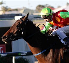 Manias (11) is in great form. Rob Heathcote has got this gelding firing. Jimmy Orman retains the ride. (see race 9)

Photos: Graham Potter