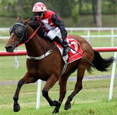 Even happier when winning a race. Hoopert has done that a hundred times now since being told he would never ride again ...