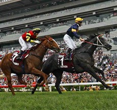 
Photos: Courtesy Hong Kong Jockey Club