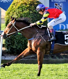 Another team to be reckoned with. Robbie Fradd salutes on Snitz for trainer Matthew Dunn last time out. Can they do it again? (see race 5)